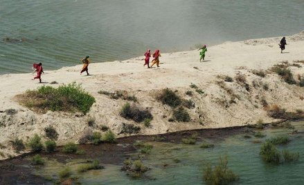 Pakistan, Dadu. Kobiety biegną po pomoc humanitarną dla powodzian, zrzucaną z helikopterów