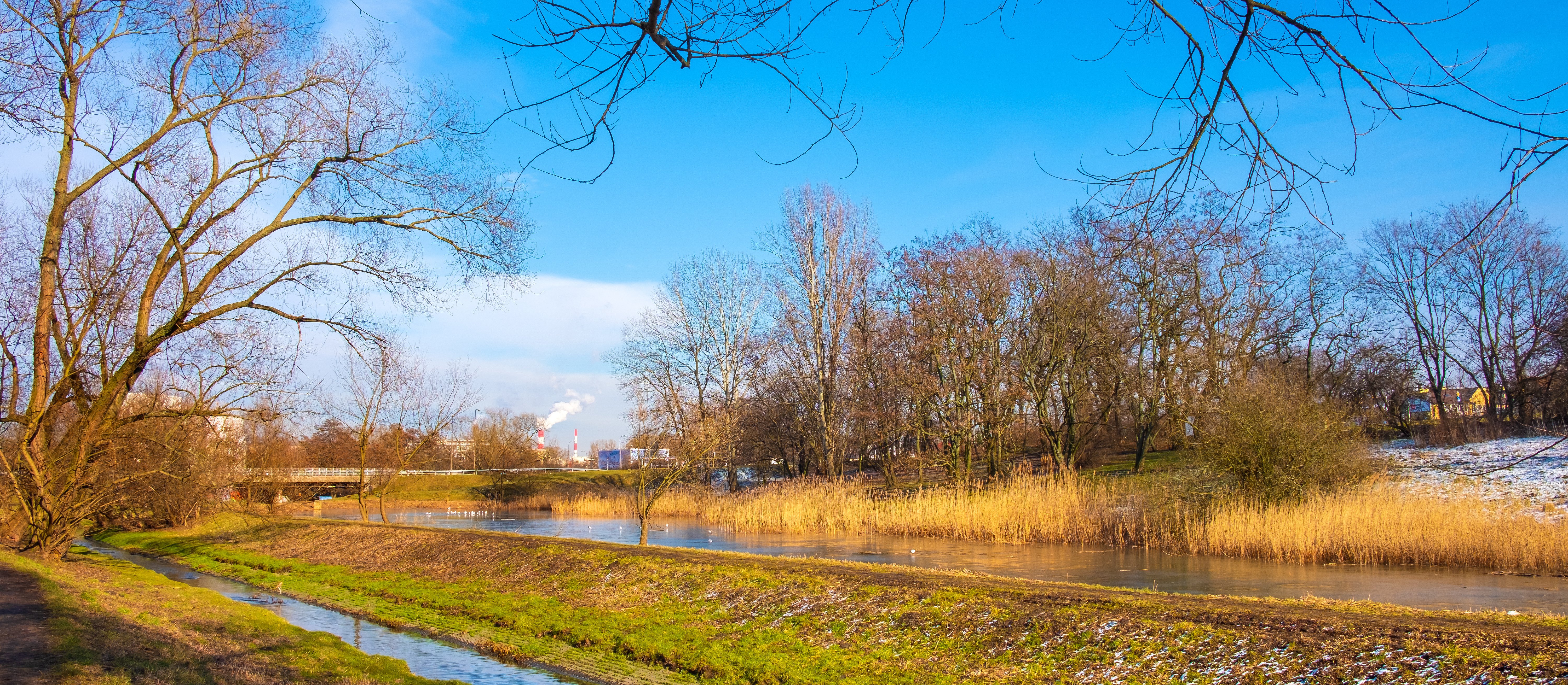 Jak długo zostanie z nami wiosenna aura? Prognoza pogody na najbliższe dni