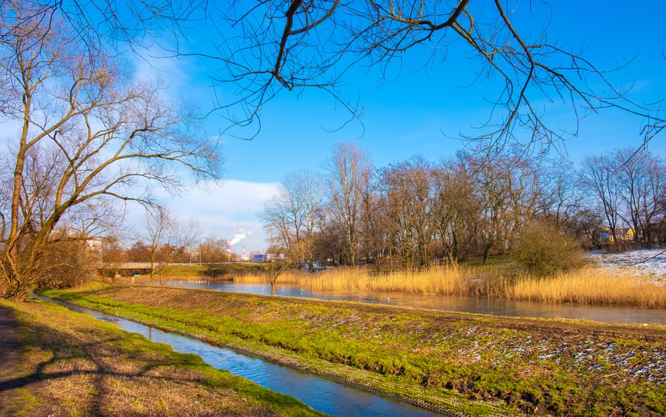 W ciągu najbliższych dni w Polsce będą panować wiosenne temperatury