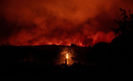 Od niedzieli Grecy walczą z pożarem w pobliżu Aten