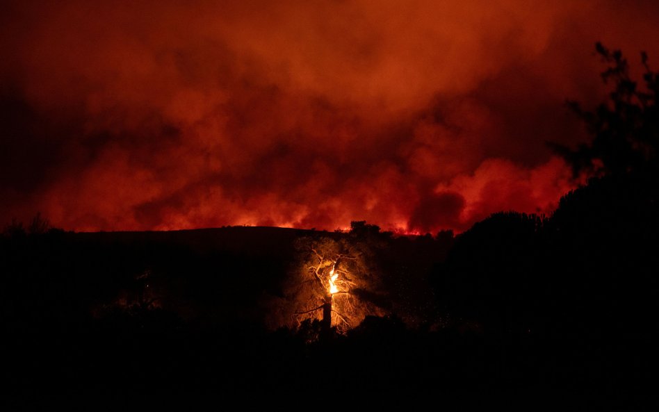 Od niedzieli Grecy walczą z pożarem w pobliżu Aten