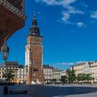 Na krakowskim Rynku rośnie już trochę drzew