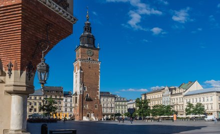 Spośród 50 drzew, które już dziś rosną na krakowskim Rynku, 28 jest w dobrym stanie, 12 w średnim, a