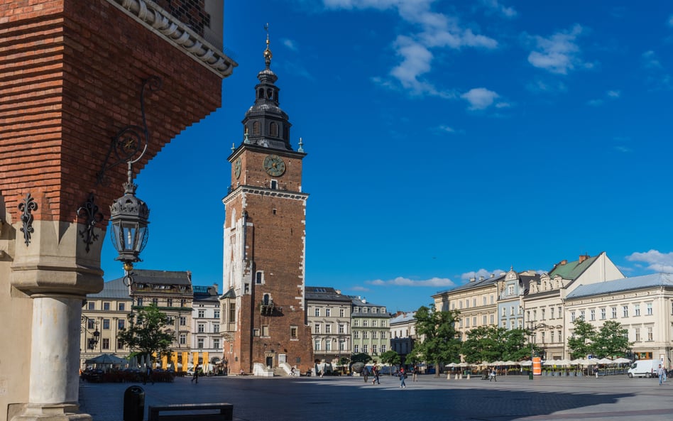 Na krakowskim Rynku rośnie już trochę drzew