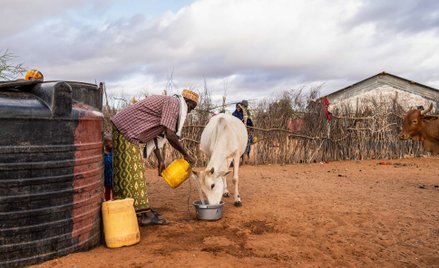 Biedne kraje chociaż nie odpowiadają za zamiany klimatu, cierpią przez nie najbardziej
