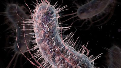 Tegoroczna edycja koncentruje się na sposobach przekazywania i interpretacji sygnałów w świecie biol