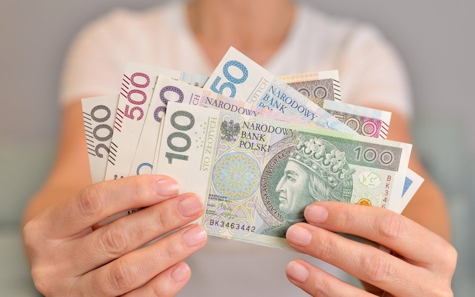 Bezwarunkowy dochód podstawowy w Polsce.  Ruszy pierwszy pilotaż?