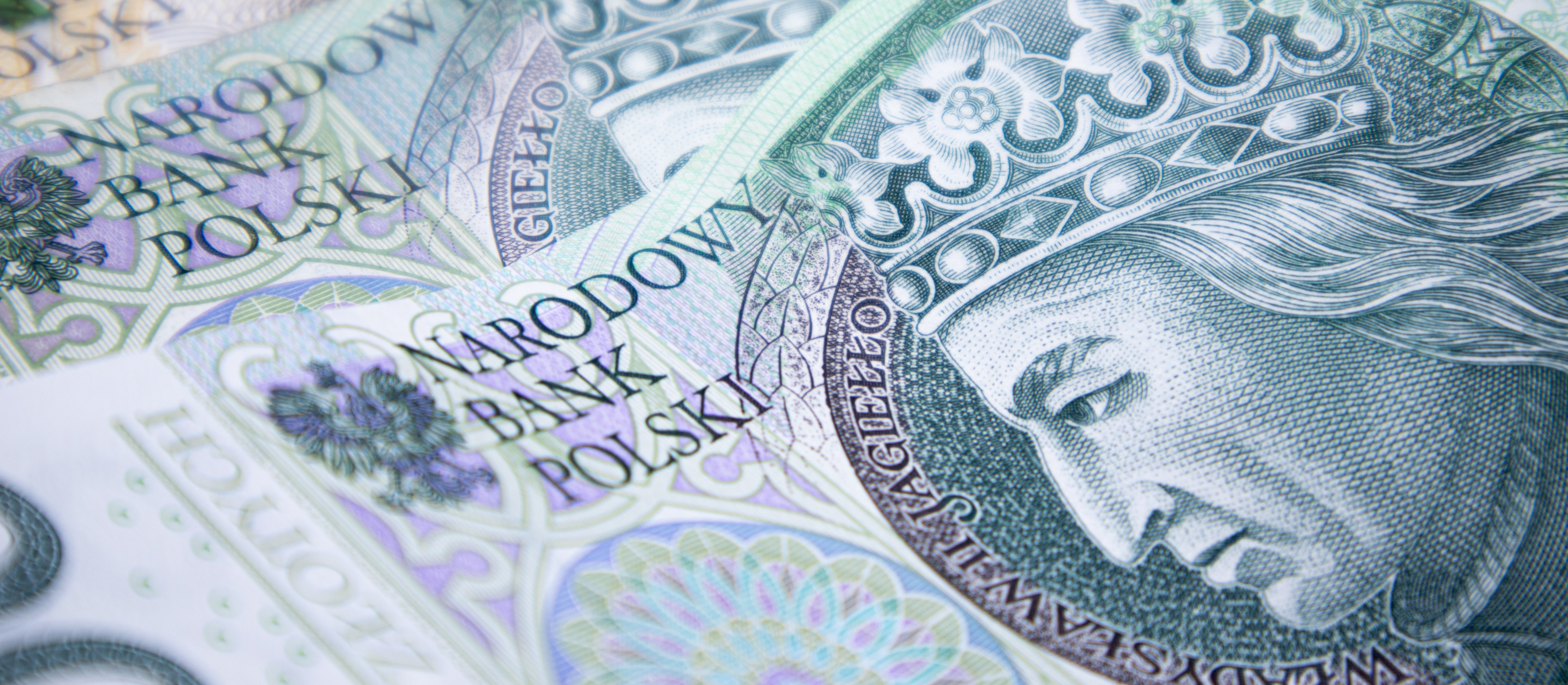 Popyt gospodarstw domowych na obligacje skarbowe zelżał