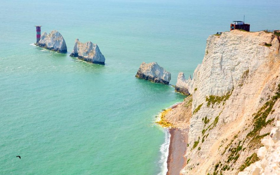 The Guardian: Marzenie miliardera o domu na plaży