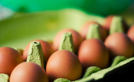 Tanie jaja z Ukrainy popsują rynek polskim producentom