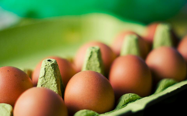Tanie jaja z Ukrainy popsują rynek polskim producentom
