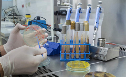 Spółki biotechnologiczne – bańka czy mocne fundamenty?