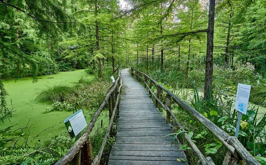 Arboretum Bolestraszyce