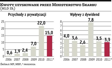 Mniejsza dynamika prywatyzacji