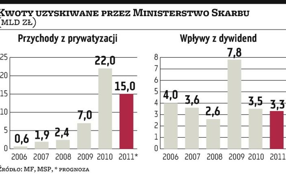 Mniejsza dynamika prywatyzacji