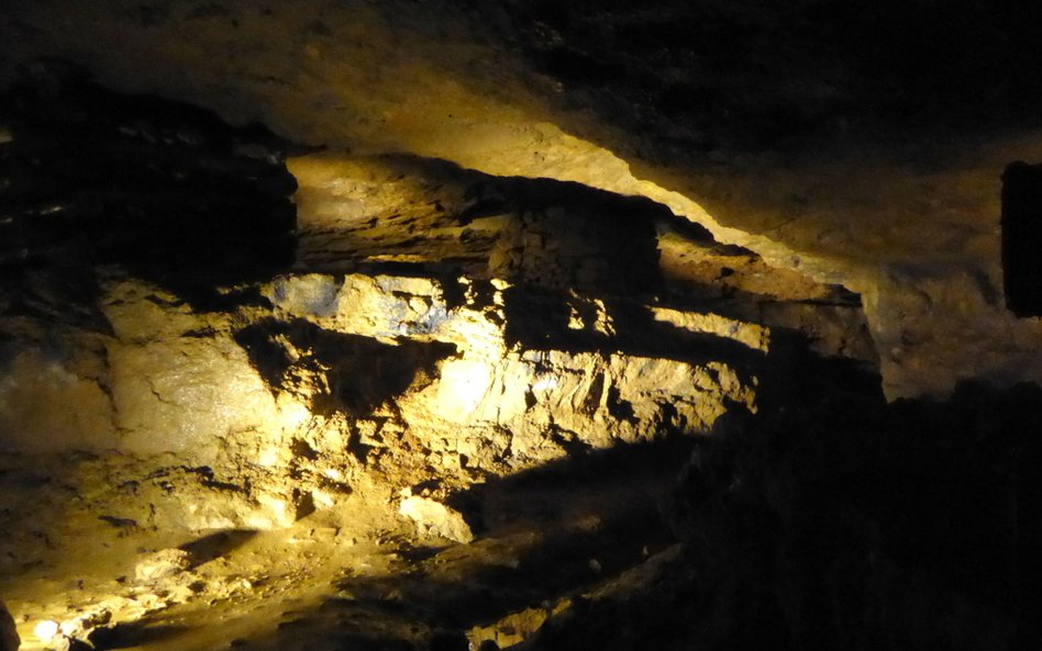 W podziemiach zabytkowej kopalni srebra.