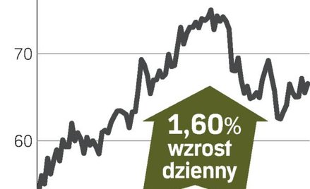 Kernel: zagraniczna ekspansja winduje kurs