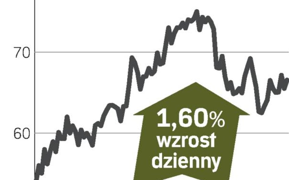 Kernel: zagraniczna ekspansja winduje kurs