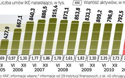 Liczba osób posiadających IKE zaczęła znów rosnąć w tym roku