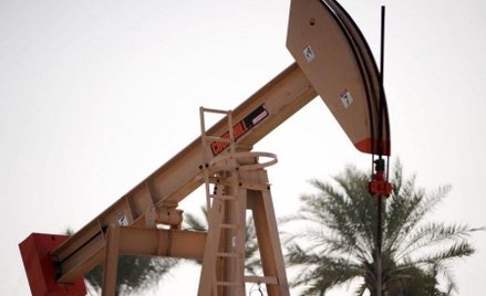 Spada kurs akcji Serinusa