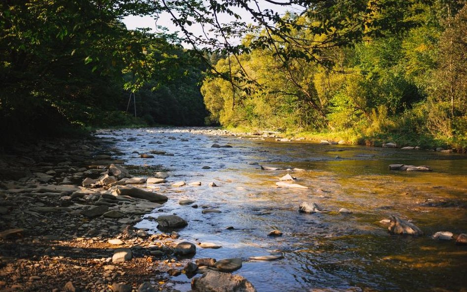 Bieszczadzki Park Narodowy