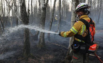 Strażak podczas akcji dogaszania pożaru na terenie Biebrzańskiego parku Narodowego w okolicach miejs