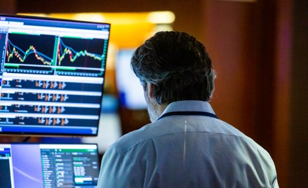 19 faworytów na luty i dwie czarne owce