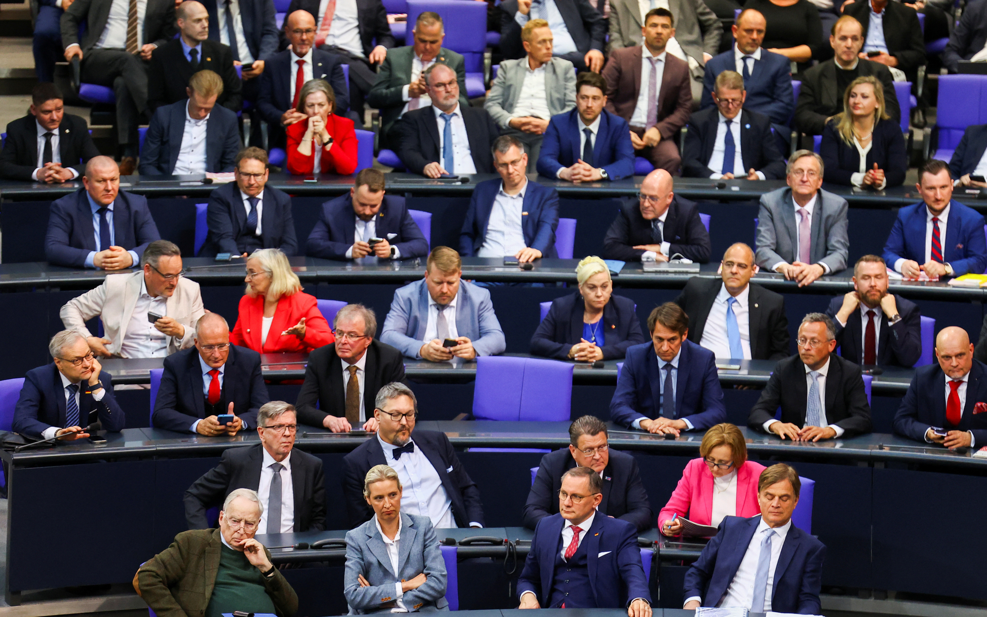 Stańczuk, Lang: Niemieccy pupile Elona Muska