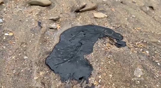 Zanieczyszczone mazutem plaże Krymu