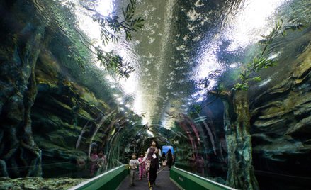 Bloomberg Innovation Index: Korea Południowa innowacyjnym liderem. Polska rankingowym średniakiem