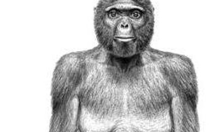 10 najważniejszych wydarzeń naukowych 2009 r.