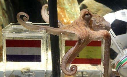 Corrida zwiększy PKB