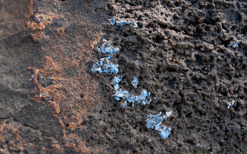 Na Maderze pojawiły się "plastikowe skały"