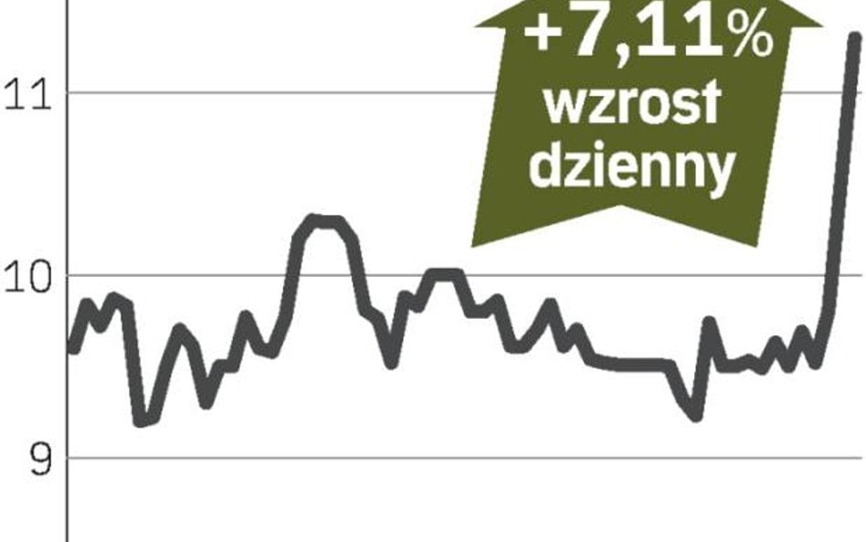 Wyniki zaskoczyły inwestorów