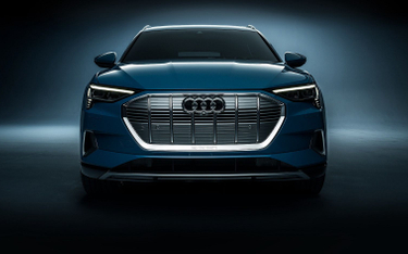 Premiery 2019 | Audi: To będzie bardzo pracowity rok
