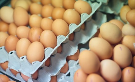 W Belgii co najmniej 306 osób zachorowało po spożyciu jaj skażonych salmonellą
