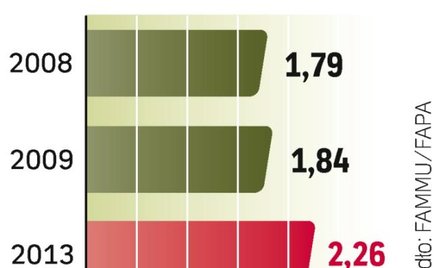 Uprawa kiwi będzie najszybciej wzrastała w Chile. Ale owoc ten zbiera się głównie na półkuli północn