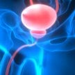 Chorzy na raka prostaty po raz kolejny odbijają się od ściany