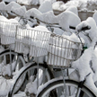 Rowerowych "morsów" więcej