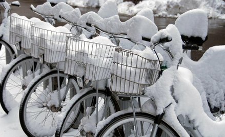 Rowerowych "morsów" więcej