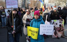 Obrońcy praw zwierząt protestowali pod siedzibą Sejmu RP w dniu głosowania nad tzw. ustawą łańcuchow