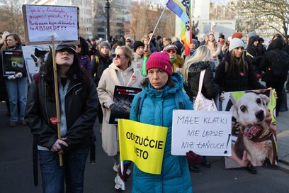 Obrońcy praw zwierząt protestowali pod siedzibą Sejmu RP w dniu głosowania nad tzw. ustawą łańcuchow