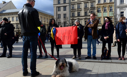Proukraińska demonstracja w Krakowie