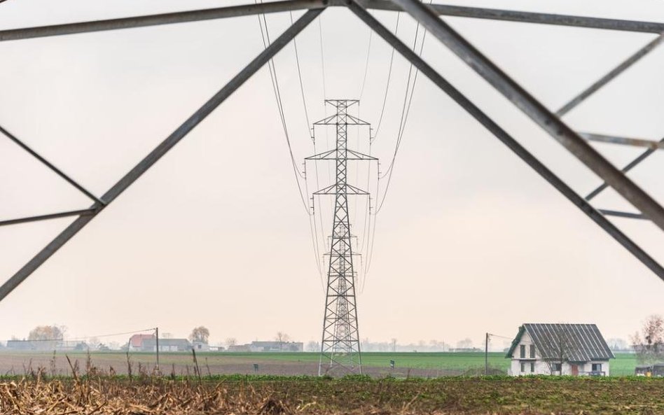 Przegrali spór o gigantyczne słupy tuż obok swoich domów - wyrok NSA