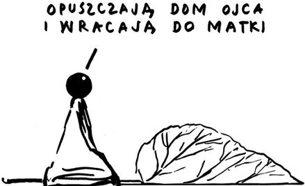 Komentarz rysunkowy