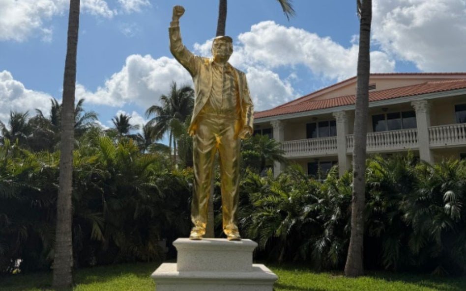 „Don Colossus”