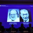 Medyczny Nobel za terapie nowotworowe