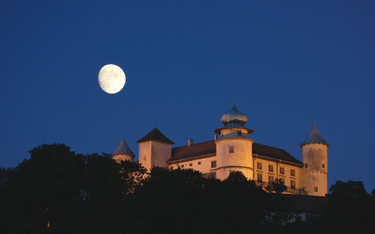 Zamek w Wiśniczu położony jest na zalesionym wzgórzu nad rzeką Leksandrówką we wsi Stary Wiśnicz