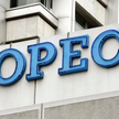 OPEC nie chce zwiększyć dostaw