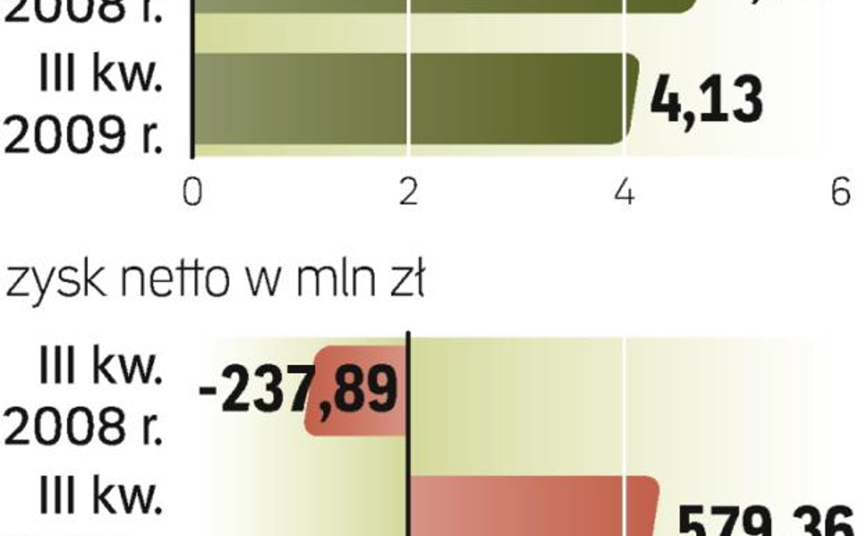 Mimo złych warunków makroekonomicznych przychody skurczyły się nieznacznie. Zysk netto jest głównie 